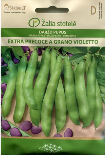 Põlduba "Extra Precoce a Grano Violetto"