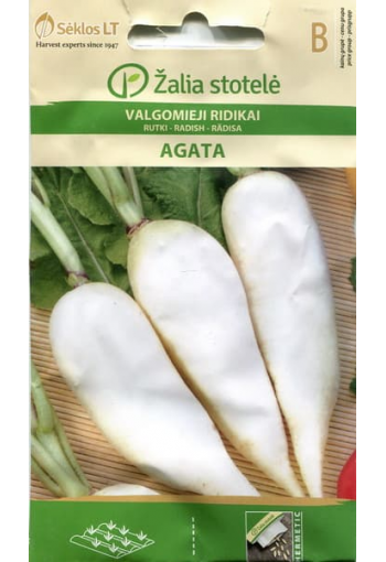 Summer radish "Agata"