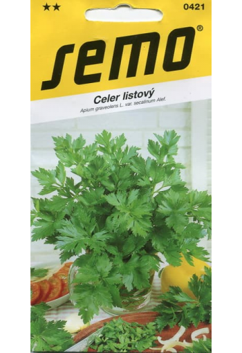 Celery "Jemny"