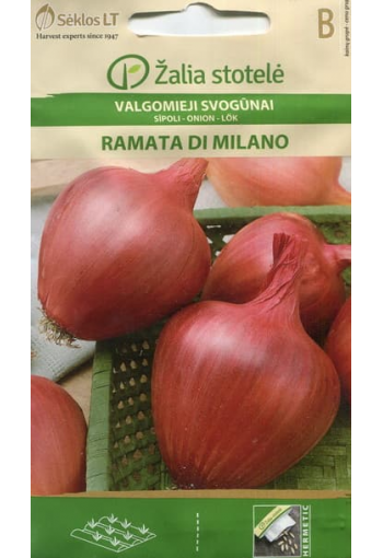 Onion "Ramata Rosso di Milano"