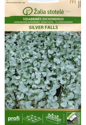 Silvernjurvinda "Silver Falls"