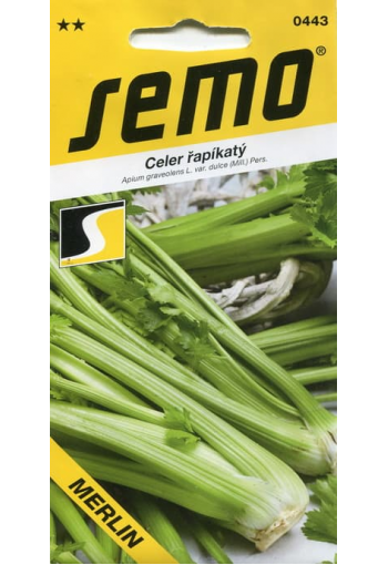Celery-stalk "Merlin"