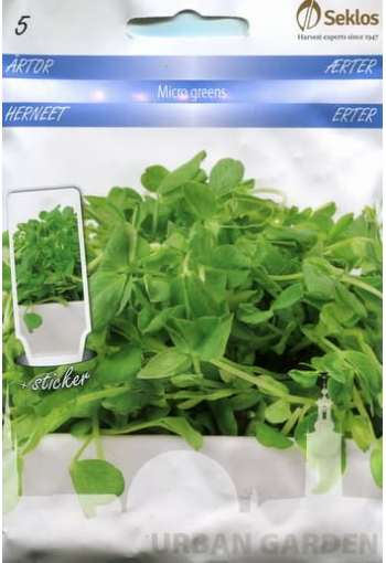 Green peas (microgreens)