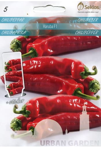 1800 SHU: Chili pepper "Haruba" F1