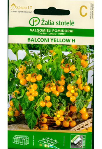 Tomat "Balcony Yellow" F1