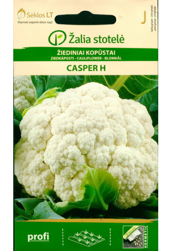 Cauliflower "Casper" F1