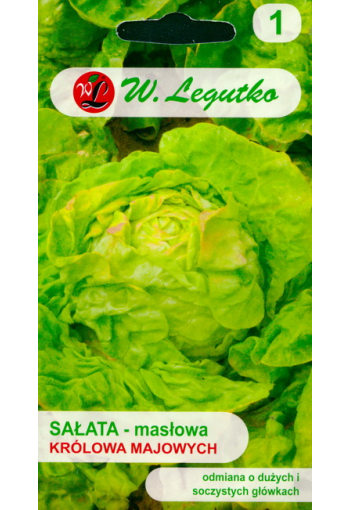 Lettuce "May King"