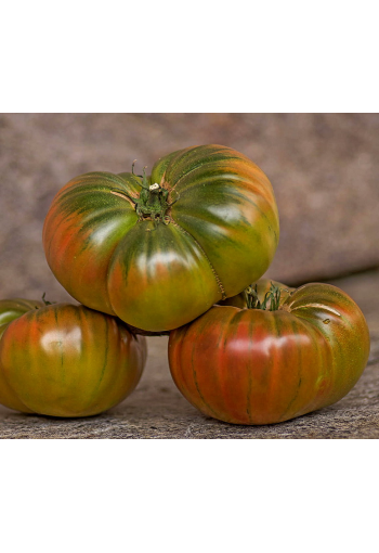 Tomato "Wild Thyme"