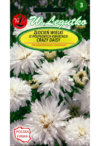 Нивяник махровый крупноцветковый "Крейзи Дэйзи"
