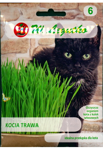 Gräs för katter 