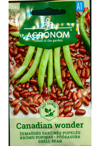 Low-growing asparagus beans "Canadian Wonder"