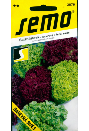 Lettuce "Mix of colors" (Barevna smes)