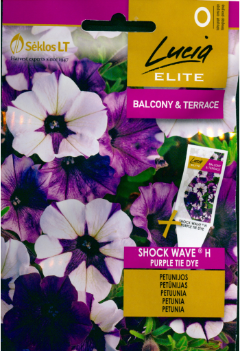 Petunia "Shock Wave Purple Tie Dye" F1