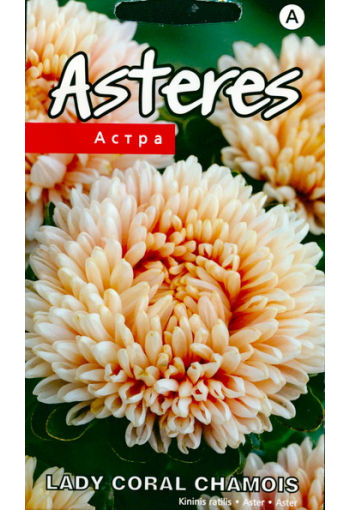 Aedaster "Lady Coral Chamois"