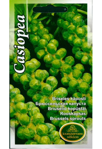 Brussel sprouts "Casiopea"