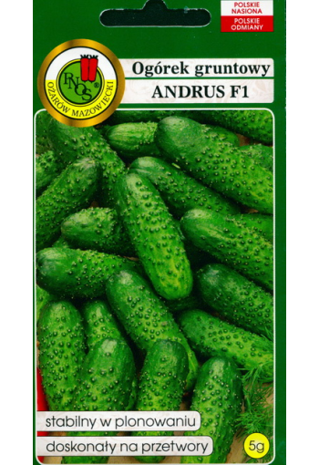 Cucumber "Andrus" F1