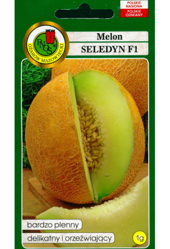 Melon "Seledyn" F1