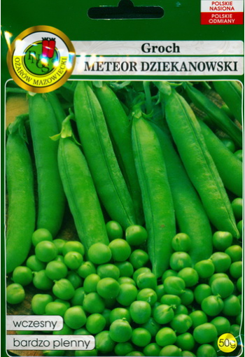 Hernes "Meteor dziekanowski"