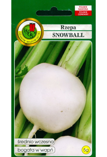 Turnip "Snowball"