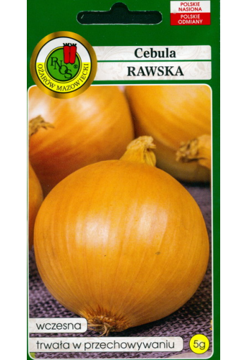 Onion "Rawska"