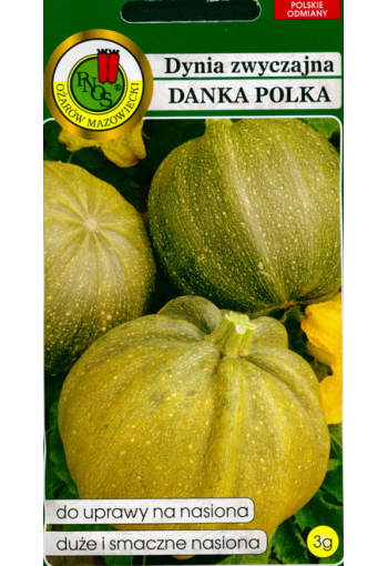 Pumpkin "Danka Polka"