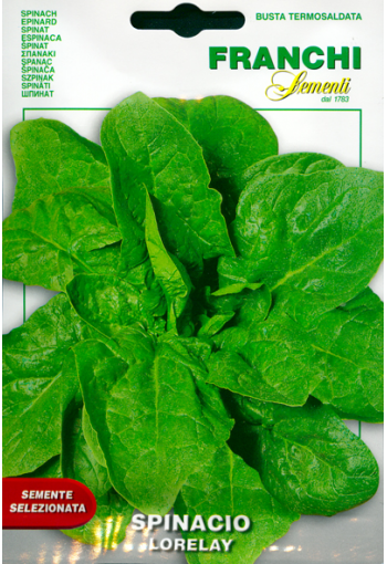 Spinach "Lorelay"