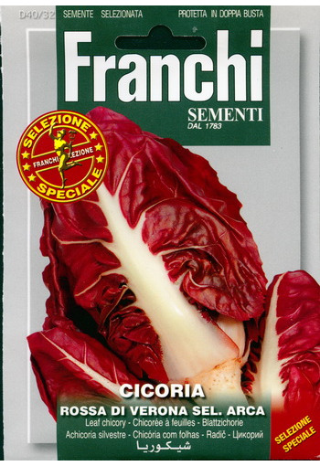 Chicory "Rossa di Verona sel. Arca"