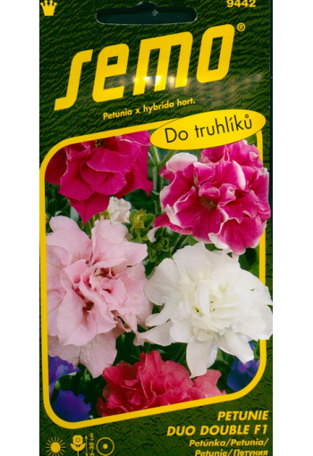 Petunia multiflora "Duo double" F1 (mix)