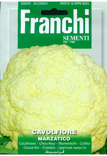 Cauliflower "Marzatico"