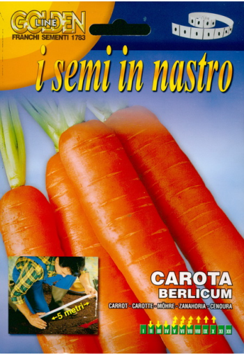 Carrot "Berlicum" (on the tape)
