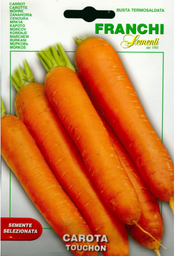 Carrot "Touchon"