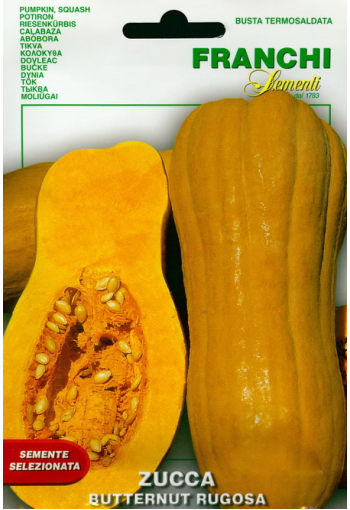 Muscade pumpkin "Butternut Rugosa"