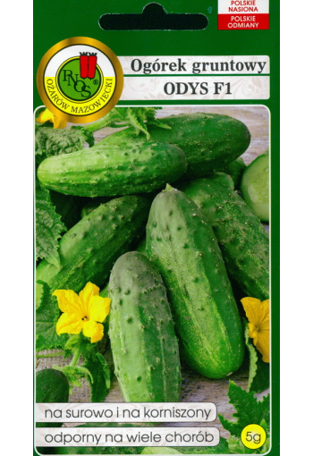 Cucumber "Odys" F1