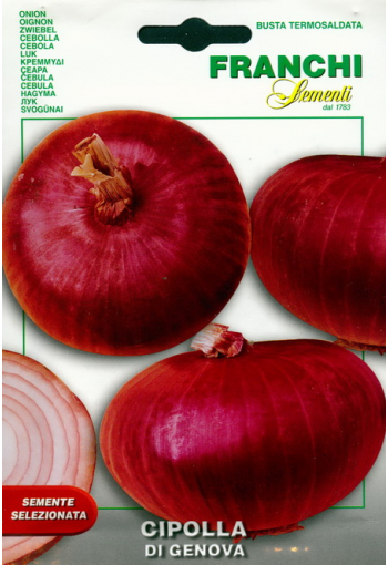 Onion "Di Genova"