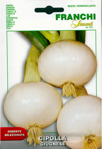 Onion "Giugnese"