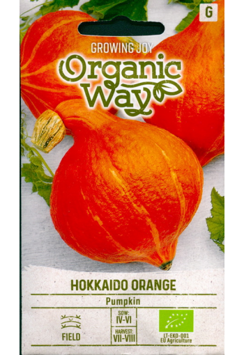 Pumpkin "Hokkaido Orange" (kabocha)