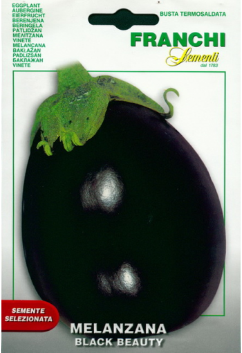 Äggplanta "Black Beauty"