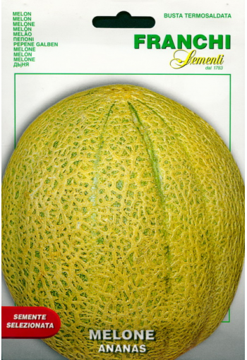 Melon "Ananas"