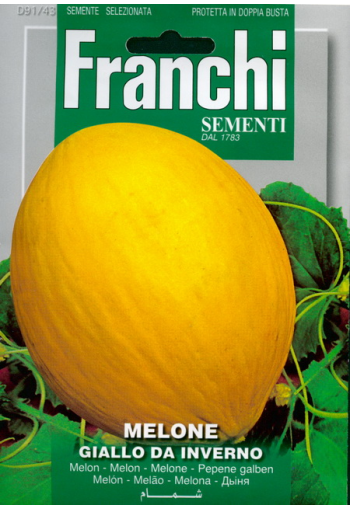 Melon "Giallo Da Inverno"