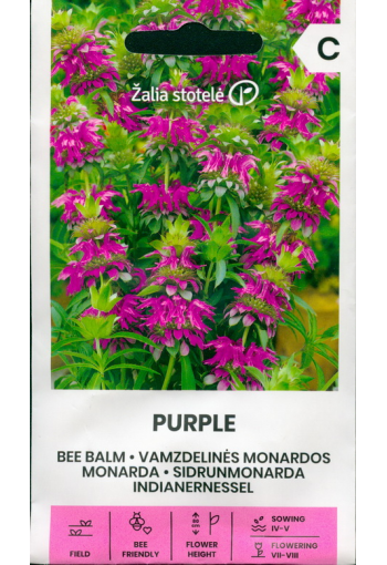 Monarda "Purple"​​​​​​​ (Beebalm)