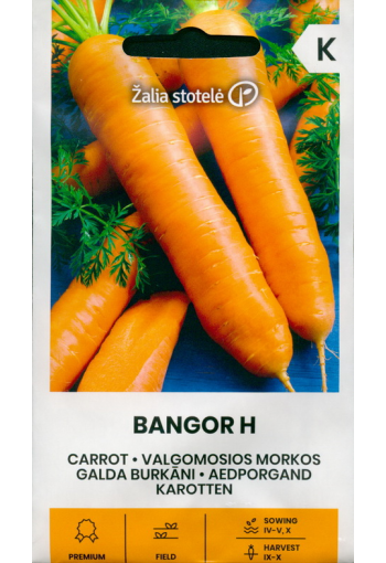 Porkkana "Bangor" F1
