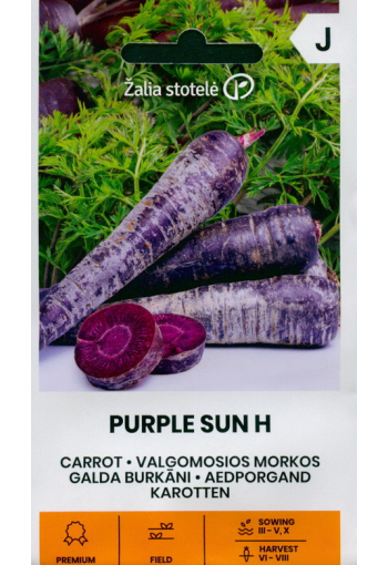 Carrot "Purple Sun" F1