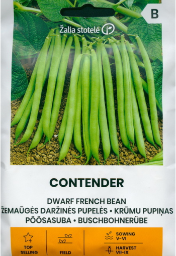 Dwarf french bean "Contender"