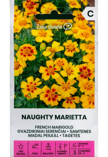French marigold single "Naughty Marietta"