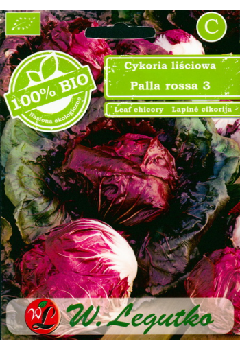 Chicory salat "Palla Rossa 3"