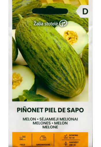 Melon "Pinonet Piel de Sapo"