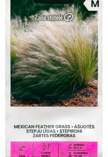 Needlegrass "Mexican Feather Grass"