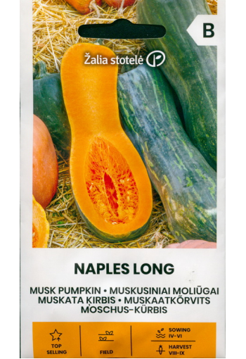 Muscue pumpkin "Naples Long"