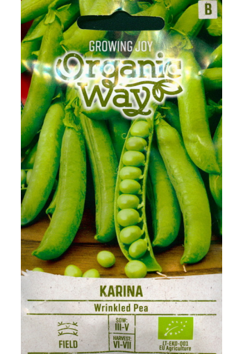 Green pea "Karina"