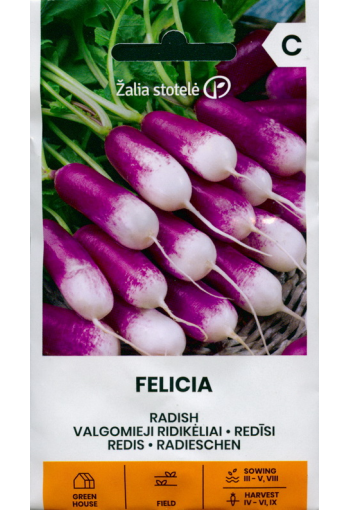 Violet radish "Felicia"